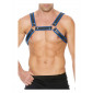 Harnais Buckle Bulldog bleu - Ouch!|Lingerie et Vêtement Homme|NatureCoquine