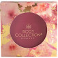 Body Collection - Fard à joues poudre ROSE - 5g|Teint|FolieCosmectic